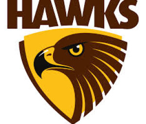 Hawthorn Football Clubs Secret to Success