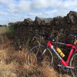 Stone Fence