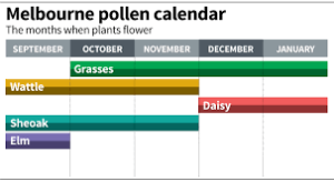 asthma-calendar